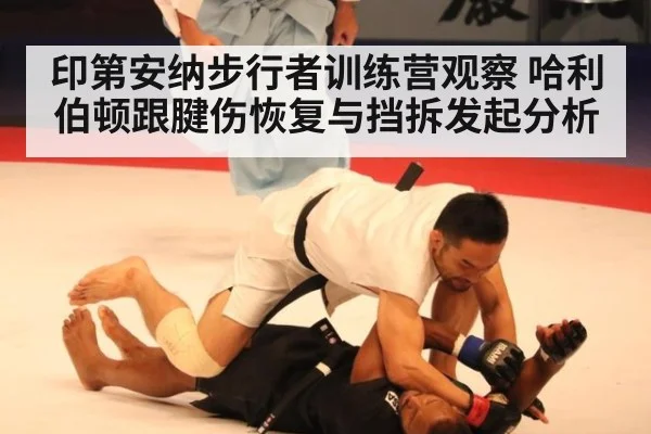 印第安纳步行者训练营观察 哈利伯顿跟腱伤恢复与挡拆发起分析